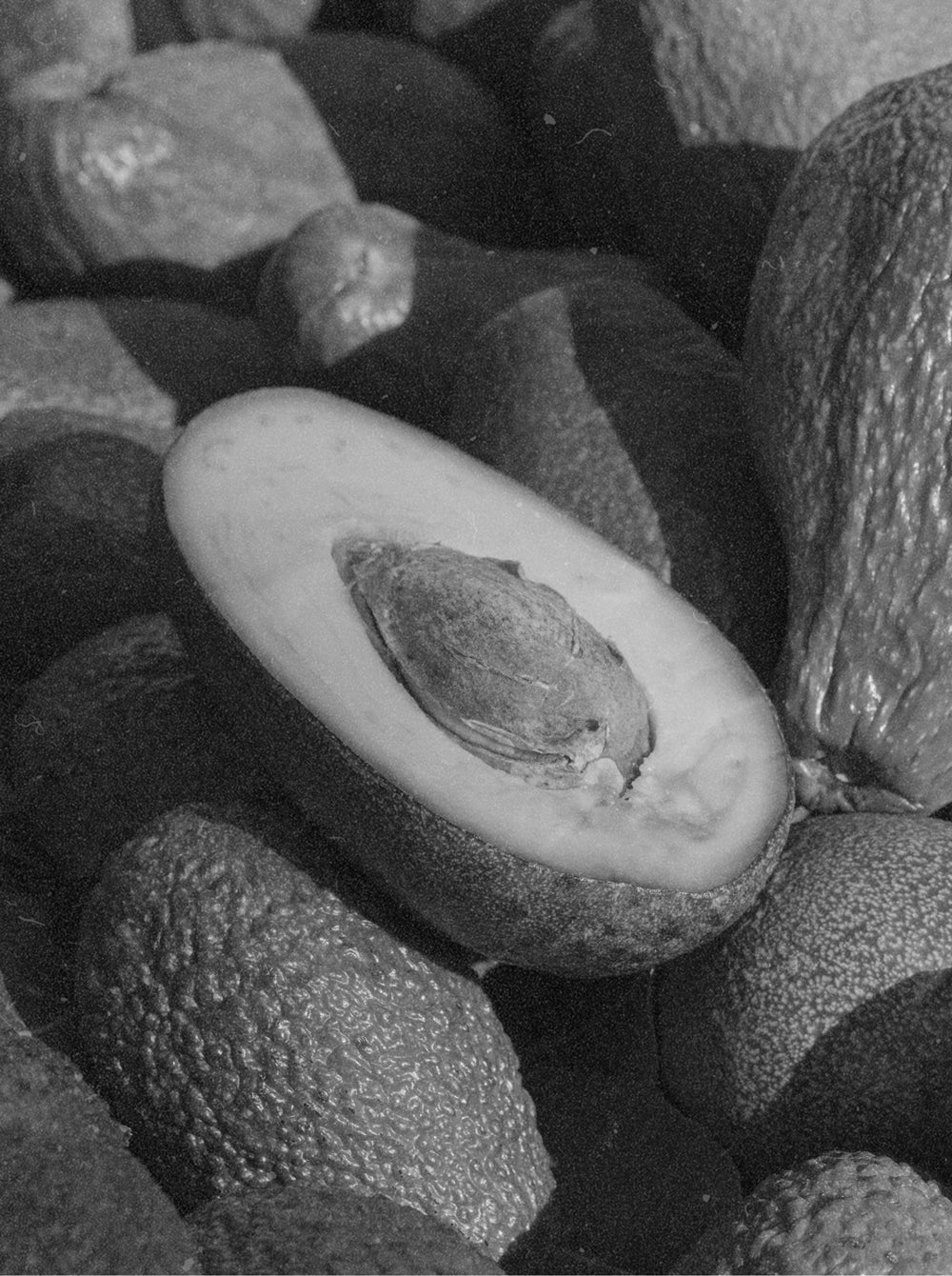 L’Alchimie de la Nature