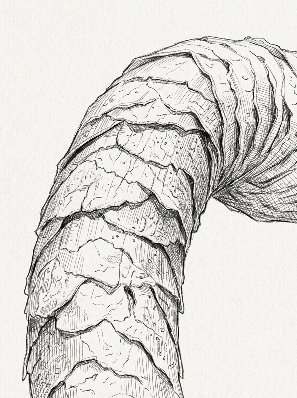 Diagnostiquer la Porosité de Vos Cheveux